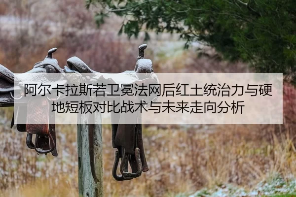 a-er-ka-la-si-ruo-wei-mian-fa-wang-hou-hong-tu-tong-zhi-li-yu-ying-di-duan-ban-dui-bi-zhan-shu-yu-wei-lai-zou-xiang-fen-2-998.jpg