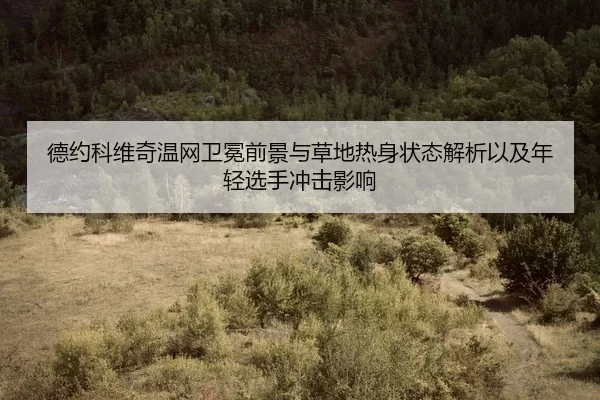 de-yue-ke-wei-qi-wen-wang-wei-mian-qian-jing-yu-cao-di-re-shen-zhuang-tai-jie-xi-yi-ji-nian-qing-xuan-shou-chong-ji-2-461.jpg
