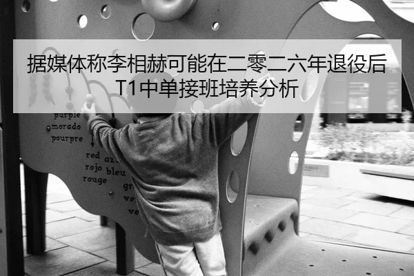 据媒体称李相赫可能在二零二六年退役后T1中单接班培养分析